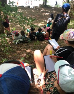 Groupe d'enfants en plein air dessinant