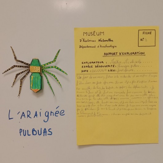 Réalisation de l'atelier : pliage d'une araignée en papier et rapport d'exploration