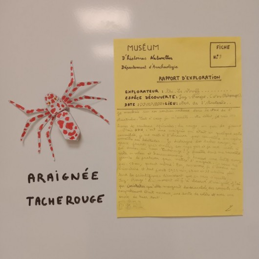 Réalisation de l'atelier : pliage d'une araignée en papier et rapport d'exploration