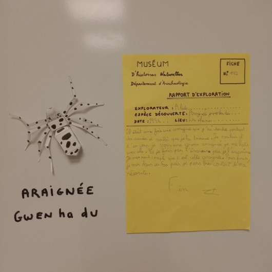 Réalisation de l'atelier : pliage d'une araignée en papier et rapport d'exploration