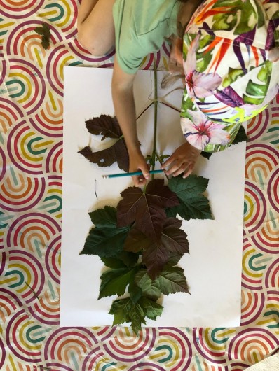 Garçon dessinant la silhouette des feuilles